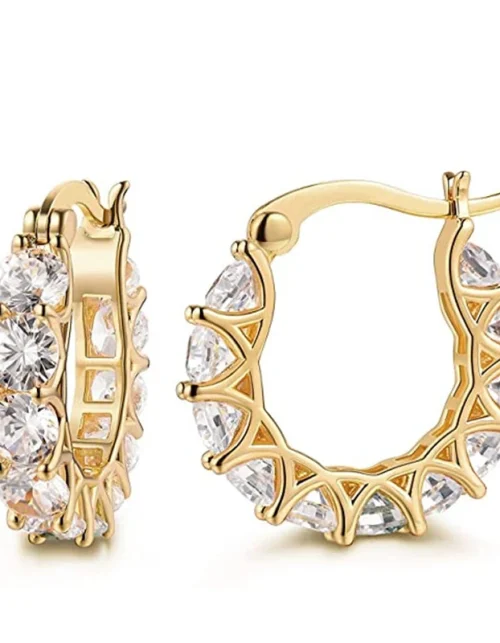 Full Paved  Hoop Earrings